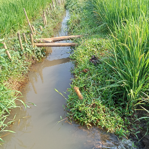 revêtement drainant dans les Deux-Sèvres (79)