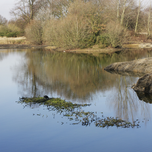 travaux d'aménagements extérieurs dans le 79